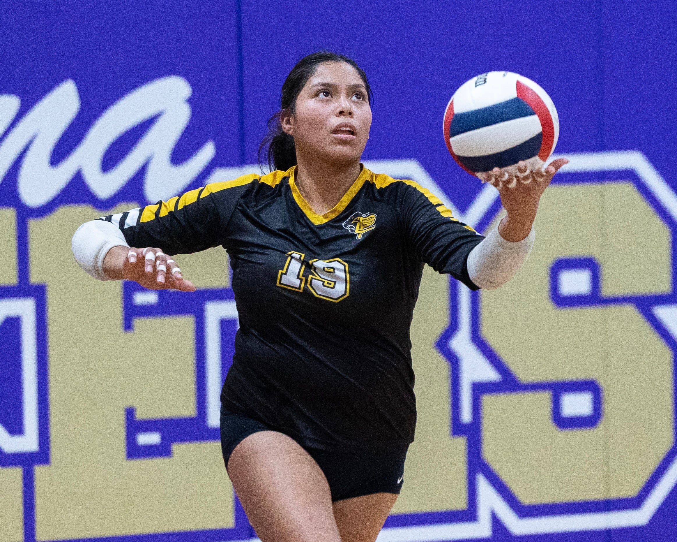 Putnam County volleyball falls in regional final: Thursday’s NewsTribune/BCR roundup — St. Charles Community news