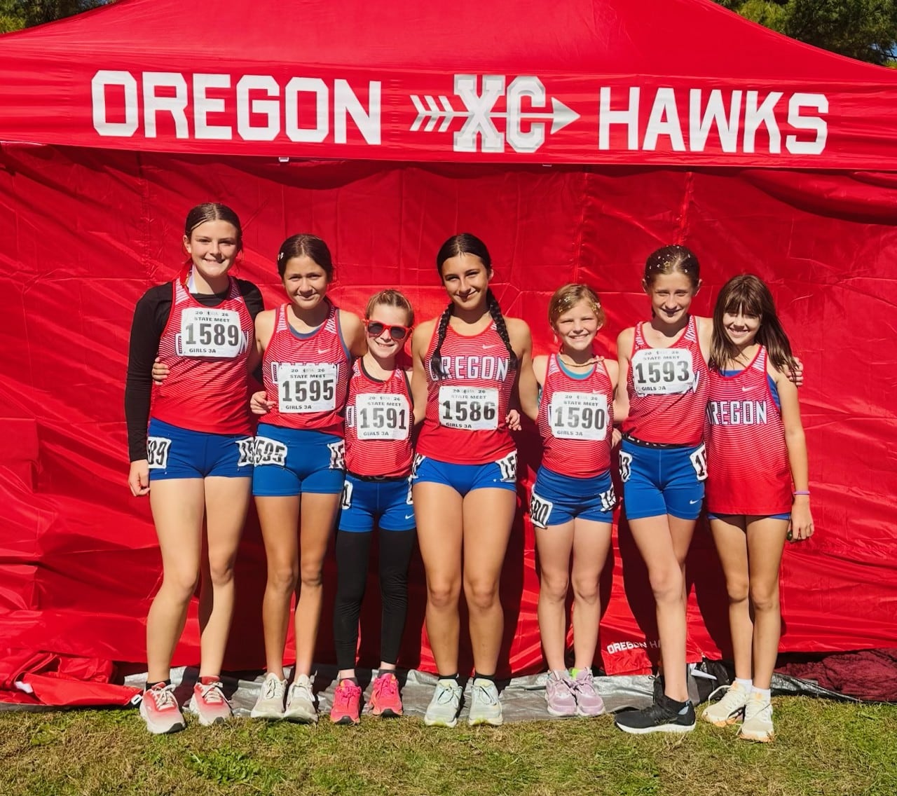 Oregon’s Anaya earns all-state honors, sets school record as Junior XC Hawks debut at state — St. Charles Arts news