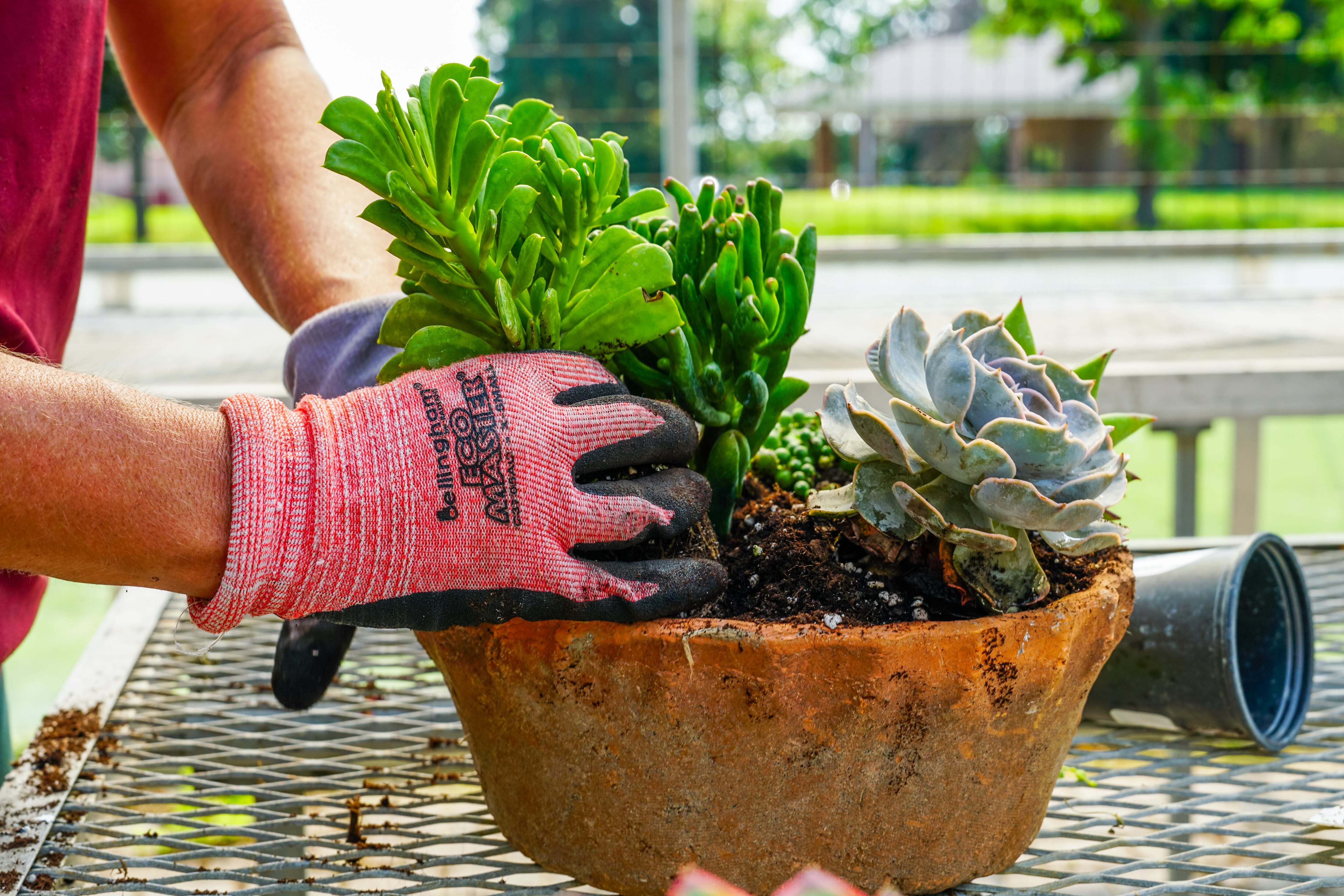 Heinz Brothers Greenhouse, Aquascape Construction ponds win ‘Made in St. Charles’ awards — St. Charles Government news